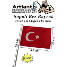 Artlantis Sopalı Bez Bayrak 30X45 cm 10 Adet Saplı Bayrak Ay Yıldız Plastik Çıtalı 30*45 Bez Bayrak Mill Bayram Kutlama