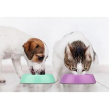 Xnews Mikopet Küçük Yuvarlak Mama Kabı