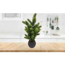 Cennet Home Igneli Çam Ağacı Bodur Ağaç Plastik Saksıda Hediyelik Yapay Çiçek