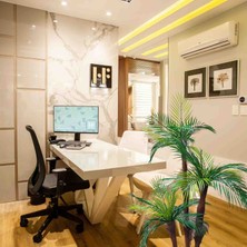 Cennet Home Tropikal Sıkas Palmiye Ağacı 3 Gövdeli 27 Dallı 125  cm  Antrasit Saksıda