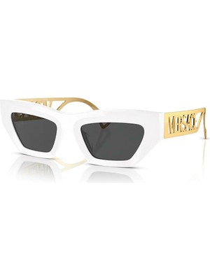 Versace Versage ve 4432U 40187 53 Kadın Güneş Gözlüğü