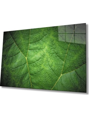 Eliza Home  Yeşil Yaprak Cam Tablo    Green Eaf