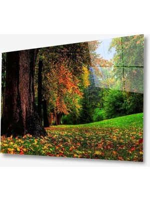 Eliza Home   Doğa Cam Tablo