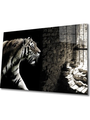 Eliza Home  Kaplan Kafeste Cam Tablo