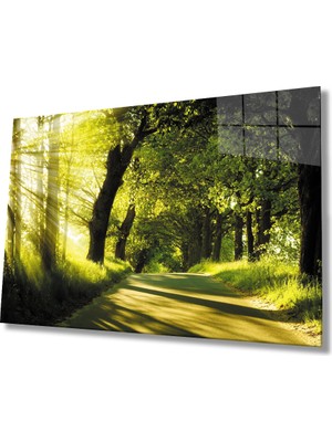 Eliza Home  Gün Batımı Orman Manzara Yeşil Cam Tablo