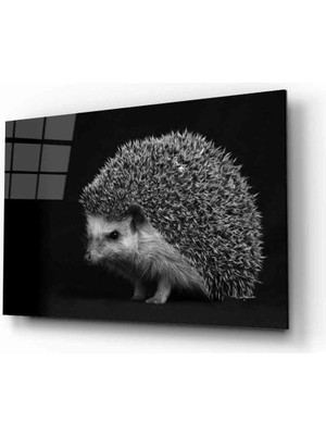 Eliza Home  Kirpi Hayvan  Cam Tablo