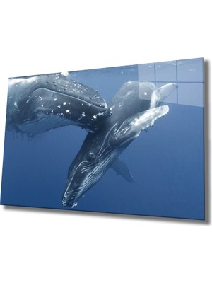 Eliza Home  Sualtı Cam Tablo Marine Life