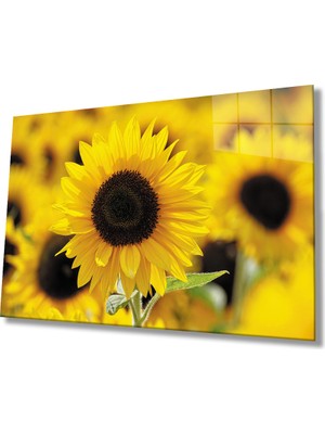 Eliza Home  Ayçiçeği Cam Tablo