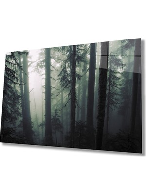 Eliza Home  Aşağıdan Yukarı Orman  Yeşil Cam Tablo