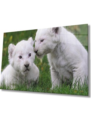 Eliza Home  Yavru  Aslanlar Cam Tablo