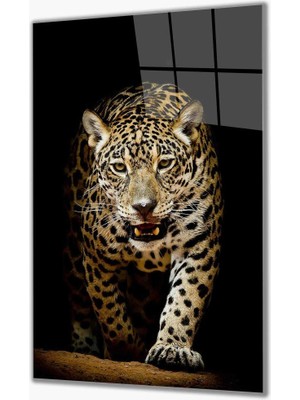 Eliza Home   Jaguar Cam Tablo