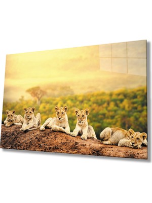 Eliza Home  Aslan Cam Tablo