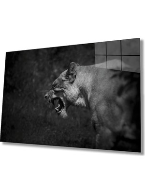 Eliza Home  Aslan Cam Tablo