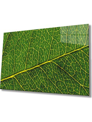 Eliza Home  Sarı Yeşil Yaprak Cam Tablo    Yellow Green Leaf
