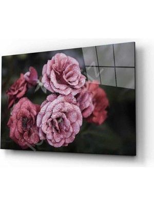 Eliza Home   Doğa Cam Tablo