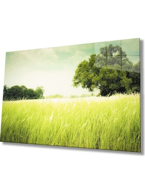 Eliza Home  Manzara  Ağaç Yeşil Cam Tablo