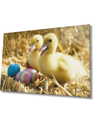 Eliza Home  Sarı Ördekler