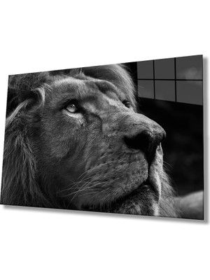 Eliza Home  Aslan Cam Tablo