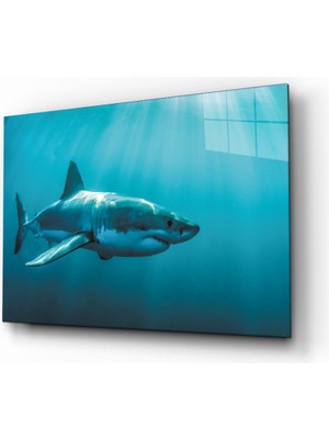 Eliza Home    Köpek Balığı  Cam Tablo