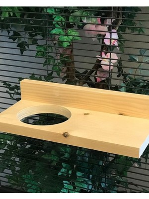 Alyones 30CM Fırında Kurutulmuş Çam Chinchilla Çıkıntısı, Kaka Korumalı ve 50MM Delik + Montaj Donanımı