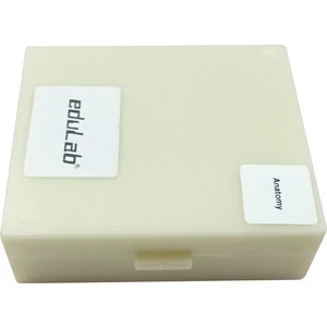 Preperat 25'lik Seti  Insan Anatomisi