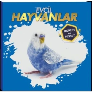 0-6 Yaş Yayınları Evcil Hayvanlar - Dokun ve Hisset