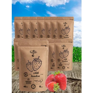 Sağlıklı Gıda Dondurularak Kurutulmuş Çilek Kurusu 15'li ( Freeze Dried Meyve Cipsi )