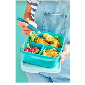 Tupperware beslenme Kutusu 1 L S. Mavi Bölmeli