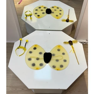 Kara Kedi Kostüm Evi Uğur Böceği ve Arı Kanat Seti (Asa, Taç Kanat Dahil)