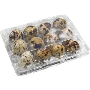 Ucuz Viyol Bıldırcın Yumurtası Viyolü 500 Adet