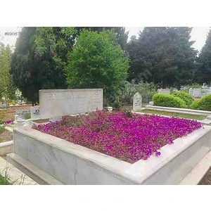 Doğa Garden Kabir Için 48 Adet Kaz Ayağı Fidesi Mezarlık Çiçeği