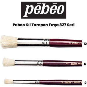 827 Seri Kıl Tampon Fırça Seti