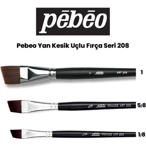 208 Seri Yan Kesik Uçlu Fırça Seti