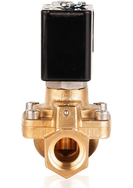 220V AC Buhar Normalde Açık Solenoid Valf (0,5-6 BAR)
