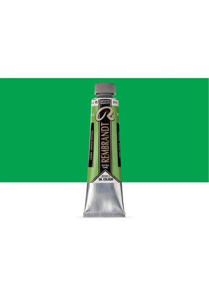 Rembrandt Yağlı Boya 40ML Permanent Green Medium 614 S.3