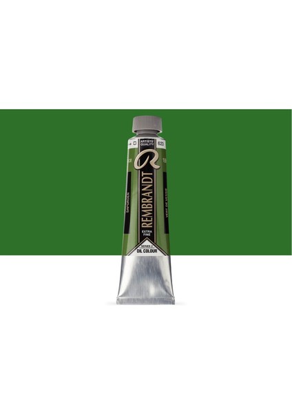 Rembrandt Yağlı Boya 40ML Sap Green 623 S.2