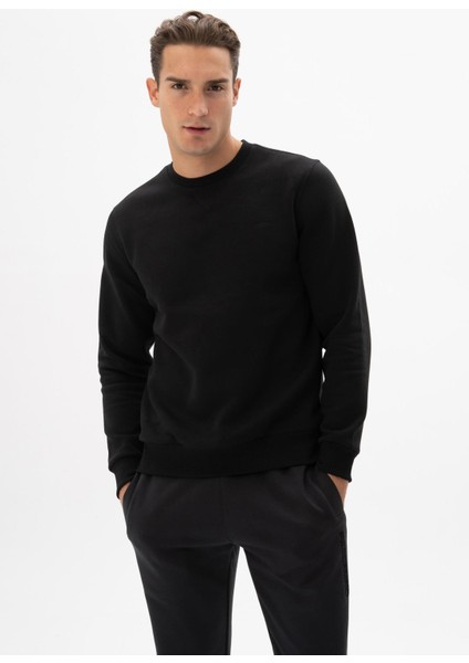 Erkek Regular Fit Bisiklet Yaka Sweatshirt K24124909601