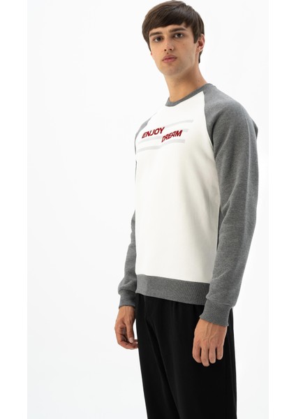 Erkek Büyük Beden Bisiklet Yaka Sweatshirt K24124884401 modelleri
