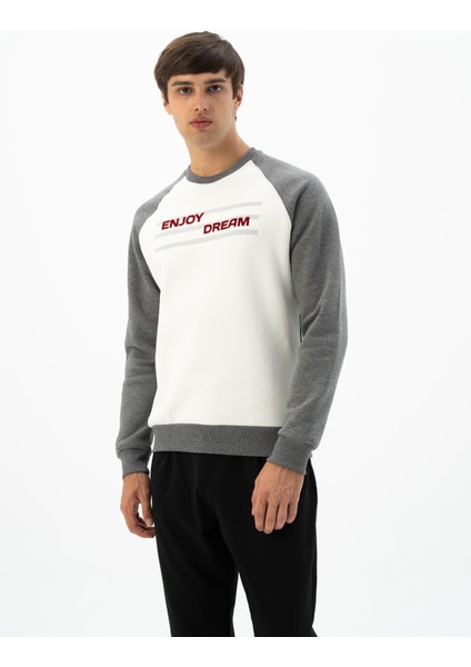 Erkek Büyük Beden Bisiklet Yaka Sweatshirt K24124884401 fırsatları