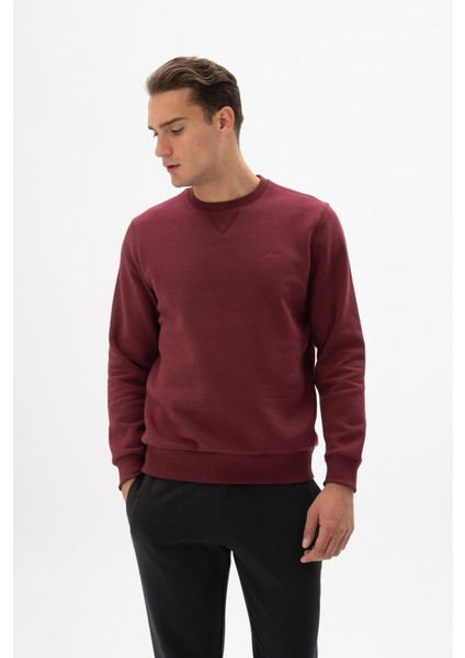 Erkek Regular Fit Bisiklet Yaka Sweatshirt K24124909601 modelleri
