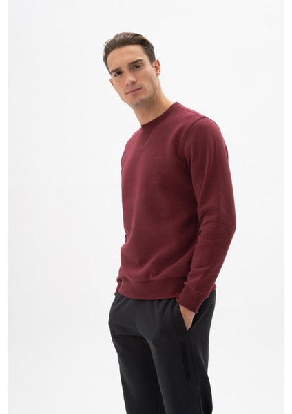 Erkek Regular Fit Bisiklet Yaka Sweatshirt K24124909601 fırsatları