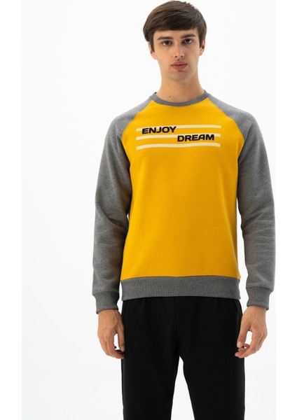 Erkek Büyük Beden Bisiklet Yaka Sweatshirt K24124884401