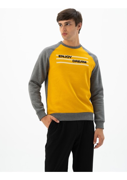 Erkek Büyük Beden Bisiklet Yaka Sweatshirt K24124884401 modelleri