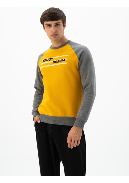 Erkek Büyük Beden Bisiklet Yaka Sweatshirt K24124884401 indirimleri