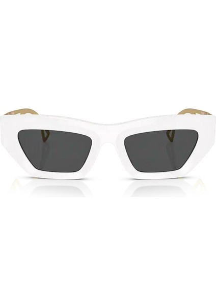Versage ve 4432U 40187 53 Kadın Güneş Gözlüğü fiyatları
