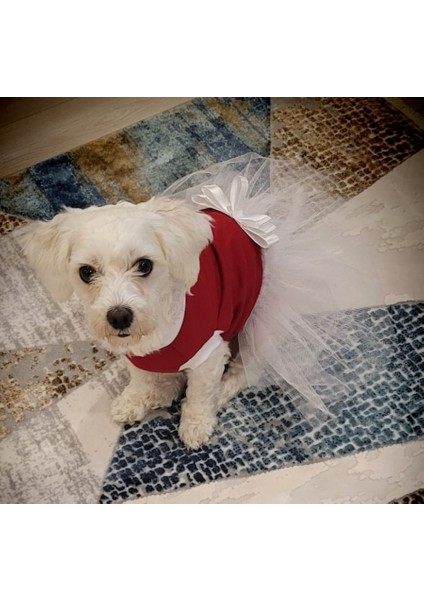 Beyaz Fiyonklu Tüllü Kırmızı Kedi Köpek Kıyafeti Elbisesi modelleri
