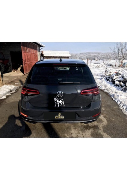 Pitbul Sticker fiyatları