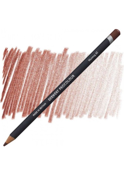 Procolour Pencil (Kuru Boya Kalemi) Nutmeg (65)