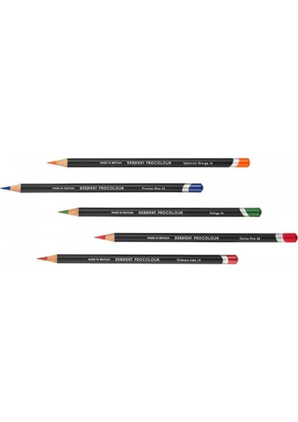 Procolour Pencil (Kuru Boya Kalemi) 12'li Teneke Kutu
