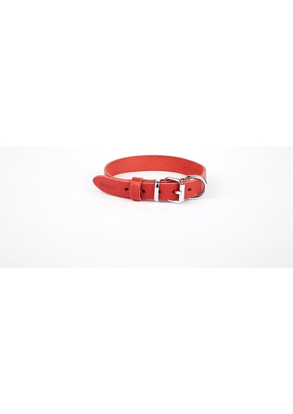 Deri El Yapımı Köpek Boyun Tasması 2X30-35 cm Kırmızı